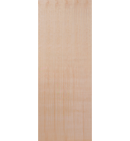 Plywood Flush FD30 Fire Door